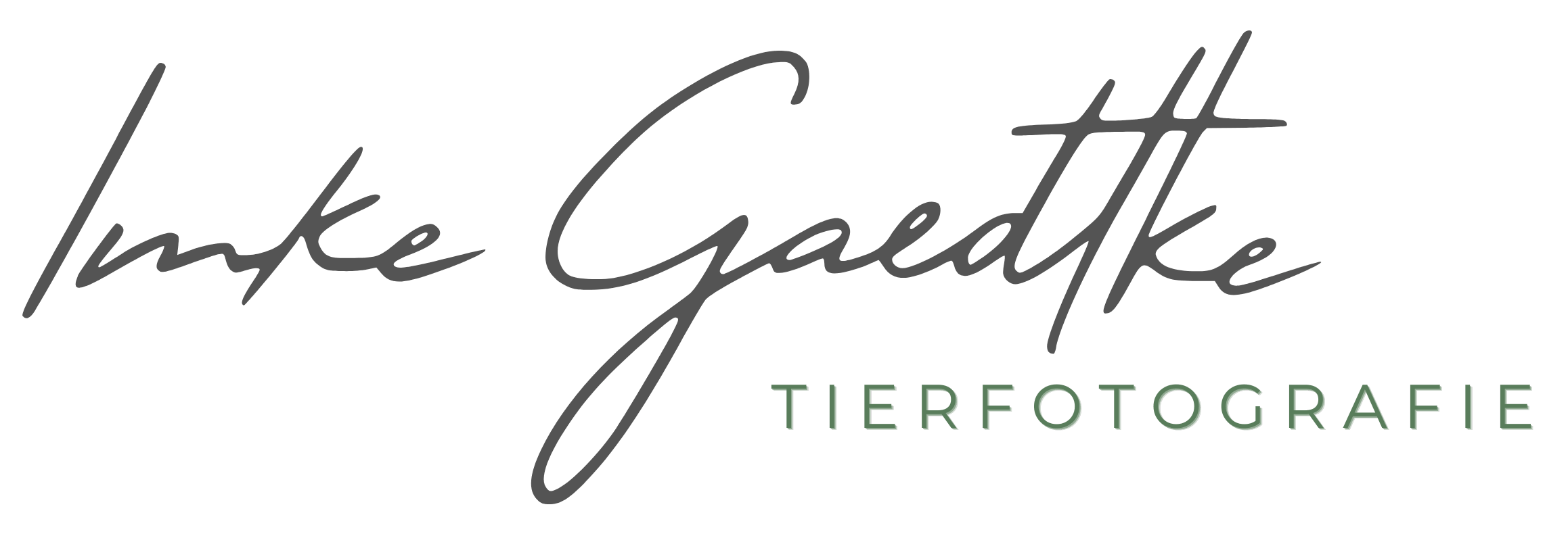 Imke Gaedtke Tierfotografie