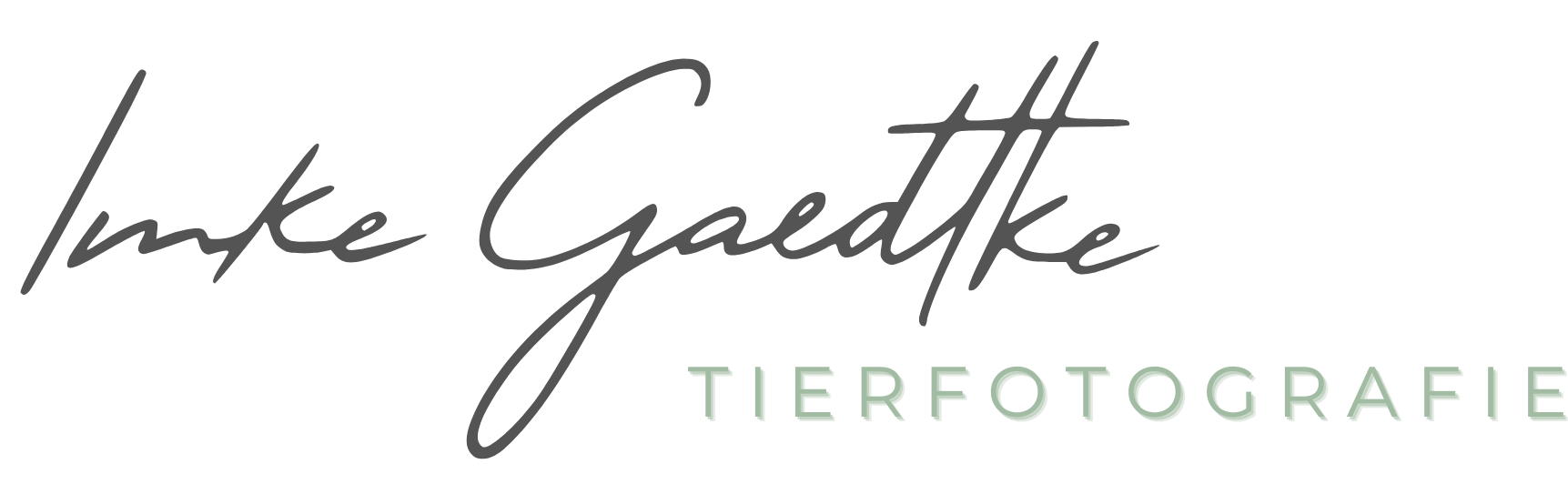 Imke Gaedtke Tierfotografie