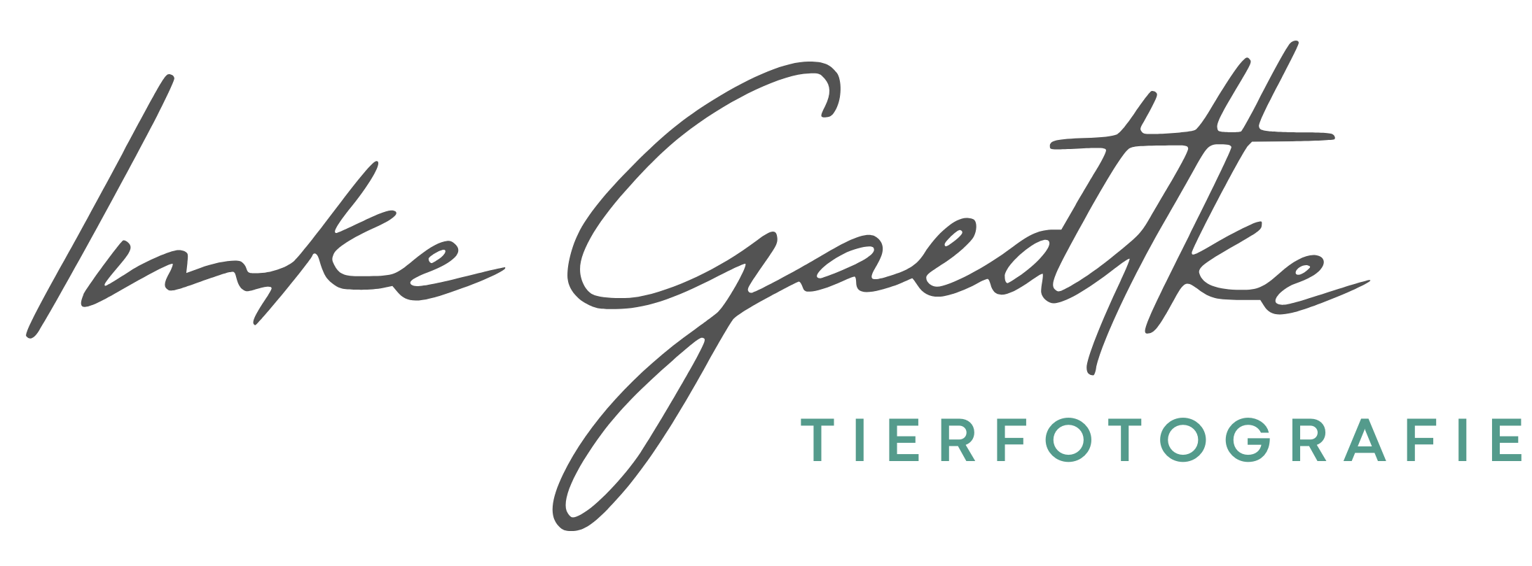Imke Gaedtke Tierfotografie