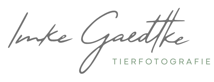 Imke Gaedtke Tierfotografie